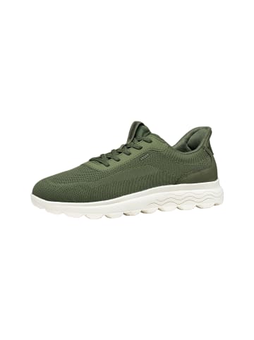 Geox Spherica Plus Knit.Te+Sy Schnürsneaker Low Grün