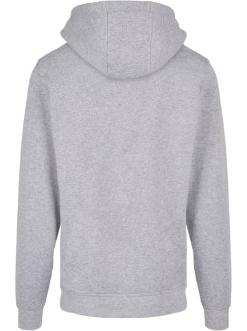 Absolute Cult Absolute Cult Kapuzenpullover in heather grey