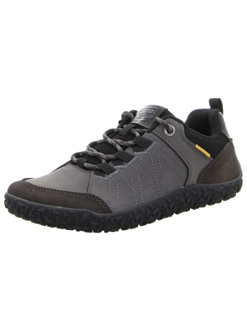 Camel Active Sneaker Low in grau
