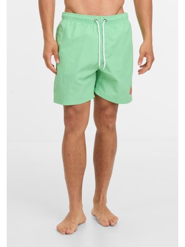 Santa Cruz Santa Cruz Badeshorts in apple mint