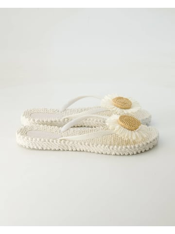 Ilse Jacobsen Zehentrenner in Weiß