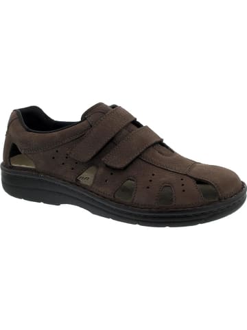 Berkemann Sneaker für Herren in braun in braun