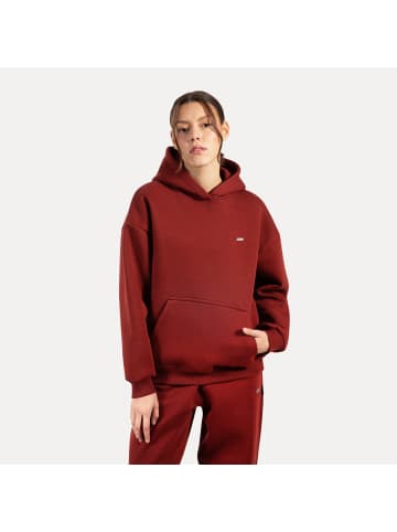 SMILODOX Hoodie Lyanna in Braun