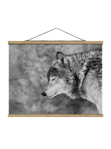 WALLART Stoffbild mit Posterleisten - Winter Wolf in Schwarz-Weiß