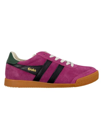 Gola Sneaker in Mehrfarbig