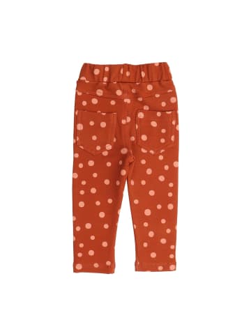 Walkiddy Leggings Brown Dots-Sweat Leggings