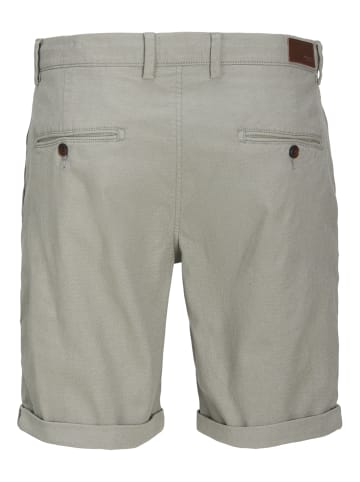 Jack & Jones Shorts 'Fury' in hellgrün