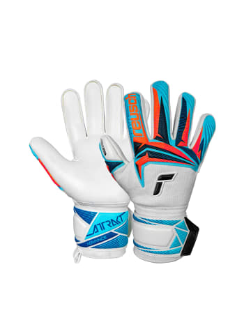 Reusch Torwarthandschuhe Attrakt Advance in 1080 white/light blue