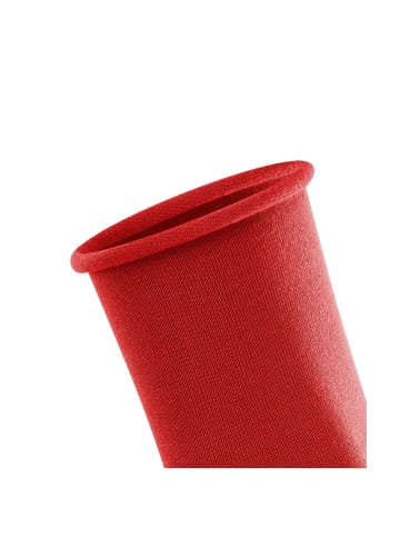 Falke Socken 2er Pack in Rot