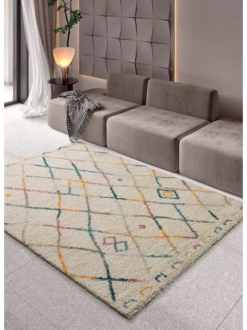 Atticgo Hochflor-Teppich ULAI in mehrfarbig