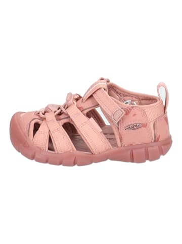 Keen Wanderschuhe in Rose