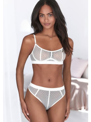 Vivance by Lascana String in puder