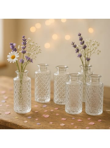 relaxdays 6 x Vasen in Transparent