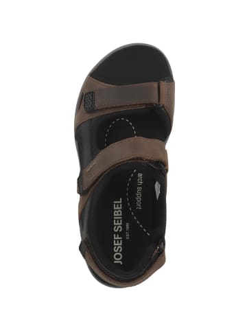 Josef Seibel Sandale Emeric 06 XT in dunkelbraun