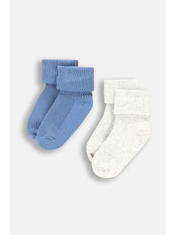 Coccodrillo Socken in bunt