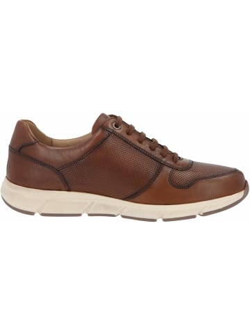 Solidus Sneaker für Herren in braun