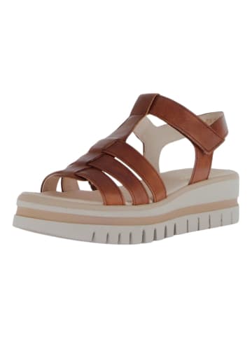 Gabor Sandalen in Camel