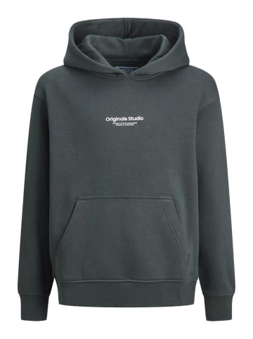 Jack & Jones Kapuzenpullover in Forest River