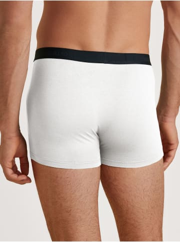 Calida New Boxer in weiss