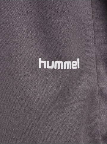 Hummel Shirt "T-Shirt S/S" in Grau