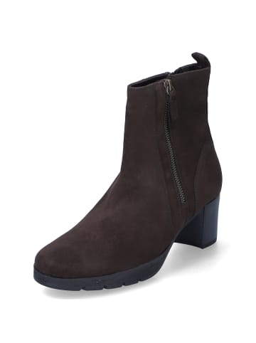 Gabor Ankle Boots in Braun