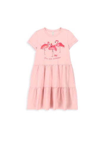 Coccodrillo Kleid  in rosa