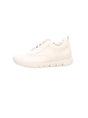 Gabor Sneaker für Damen in beige