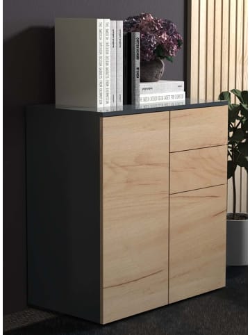 ebuy24 Sideboard Dalosa 9 Anthrazit 70 x 39 cm