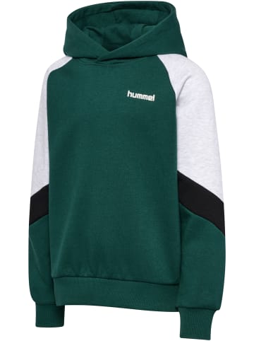Hummel Kapuzenpullover Raglanärmel Hmljr Loose Kinder in JUNE BUG