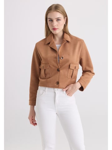 Felix Hardy Jacke in Camel