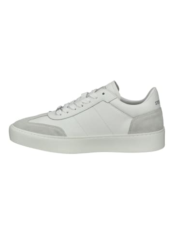 Steve Madden Sneaker in Weiß/Grau