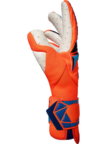 Reusch Torwarthandschuhe Attrakt SpeedBump Guardian in 2290 shocking orange/blue