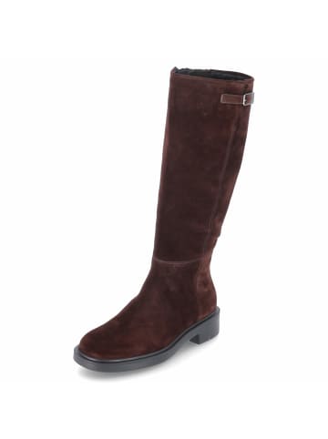 Högl Schaftstiefel in brown