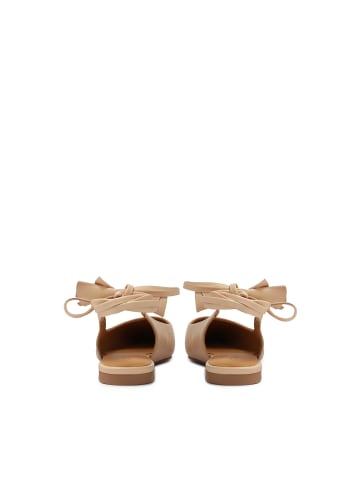 Kazar Pumps in Rosa