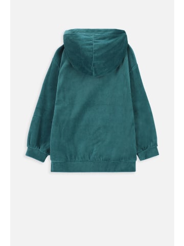 Coccodrillo Sweatshirt in grün