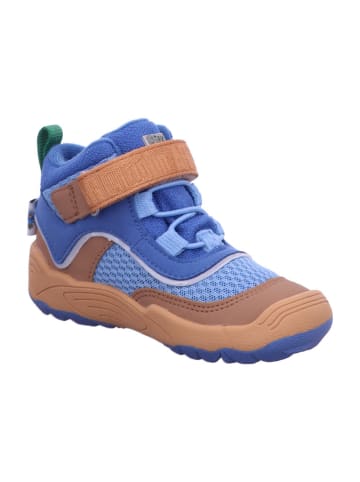 Affenzahn Halbschuhe Kinder Übergangsschuh Vegan Explory Paradiesvog in Blau