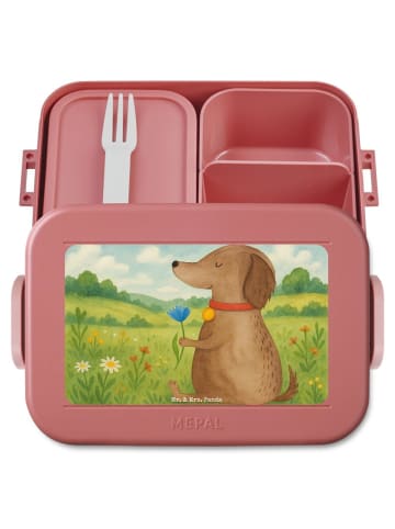 Mr. & Mrs. Panda Bentobox Hund Blume Design ohne Spruch in Rot Pastell