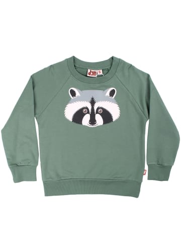 Danefae Pullover Waschbär in Grün