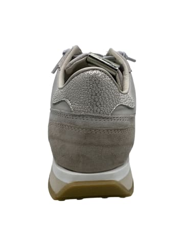 Cetti Sneaker Low in Beige
