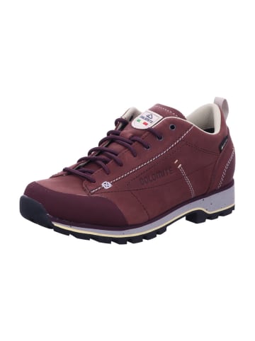 DOLOMITE Wanderschuhe DOL Shoe Ws 54 Low Fg Evo GTX in Braun