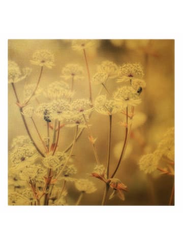 WALLART Leinwandbild Gold - Federleichte Wildblumen in Braun