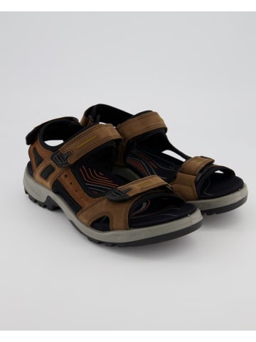 Ecco Sandalen in Braun