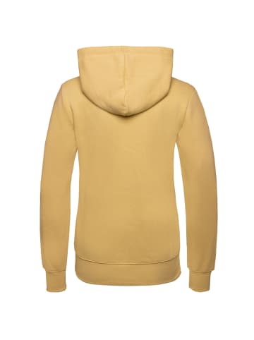 Champion Kapuzenpullover Hooded in gelb