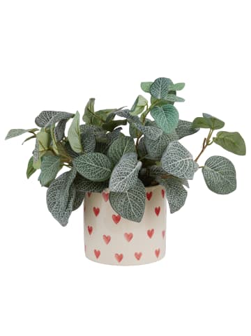 Butlers Blumenübertopf HEARTS & FLOWERS in Beige