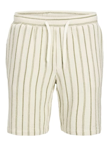Jack & Jones Shorts in Cedar