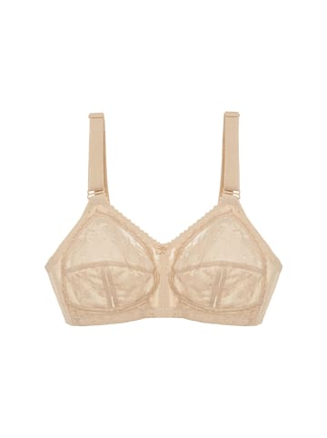 Triumph Doreen X in puder