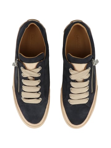Candice Cooper Sneaker low ROCK 1 ZIP CHIC in blau