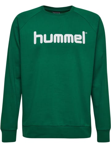 Hummel Hummel Sweatshirt Raglanärmel Hmlgo Kinder in EVERGREEN