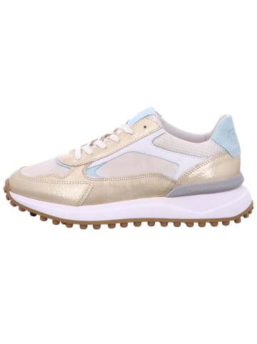 Floris van Bommel Schnürschuh in gold