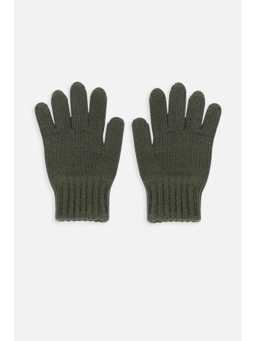 Coccodrillo Handschuhe in khaki